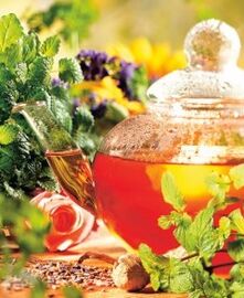 decoctions لزيادة الطاقة