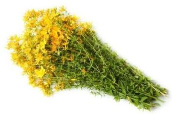 الأعشاب
