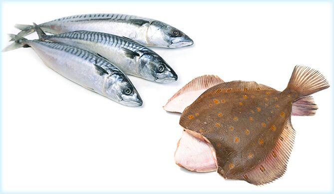 الماكريل والسمك المفلطح - سمكة تزيد من فاعلية الإنسان